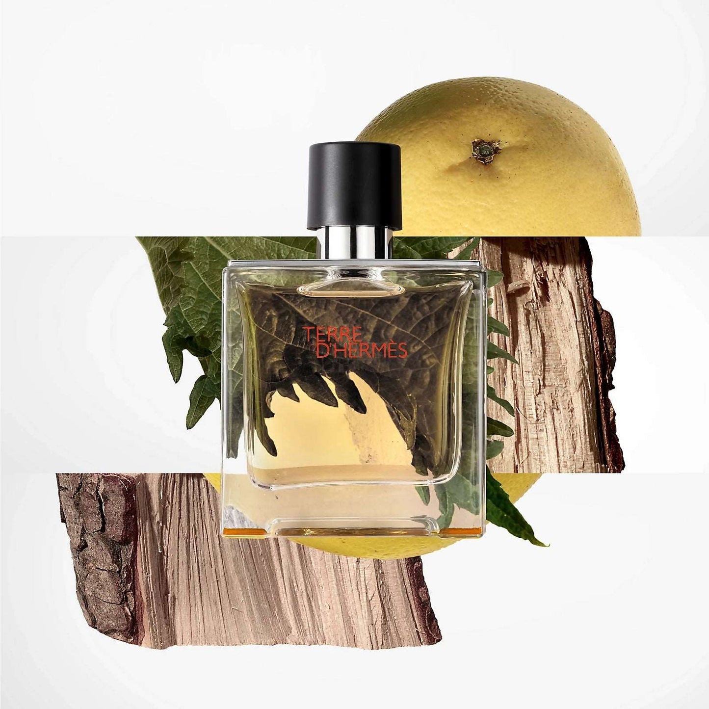 Hermes Terre D'Hermes Perfume in Mauritius At Maulux.