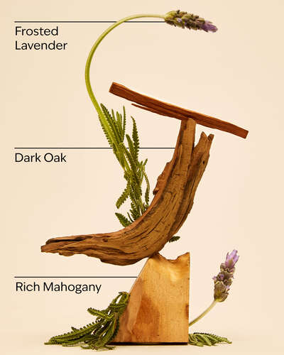 Bath & Body Works Mahogany Teakwood Intense 3-Wick Scented Candle | Maulux.mu